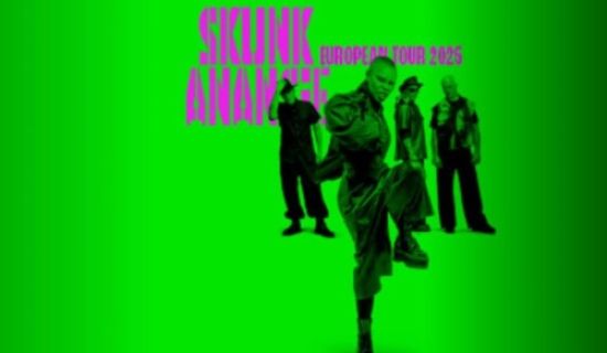 Skunk Anansie a Bologna